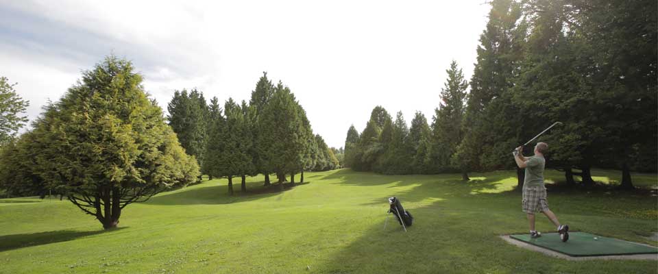 Stanley park pitch and deals putt